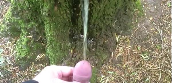  Man pissing on a tree